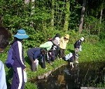 元南保小学校のビオトープで水中生物を探しました。