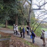 秋の野山の散策